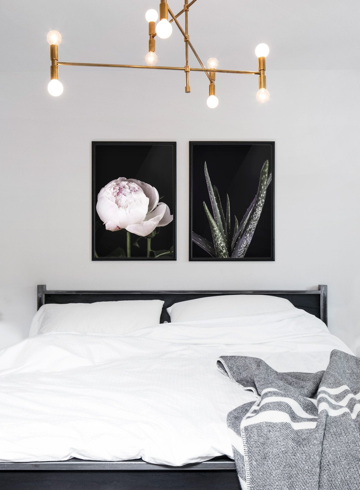 Aloes, Poster