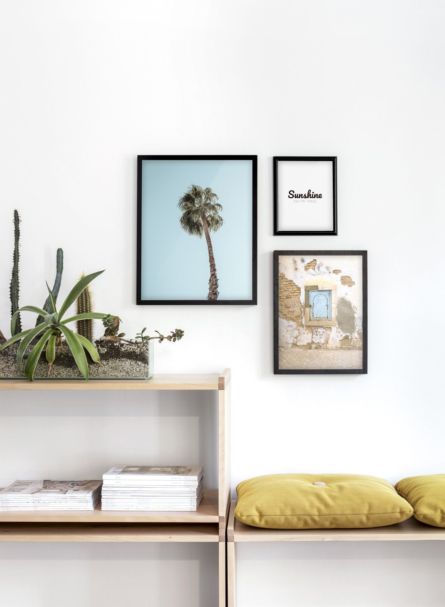 Palm Tree, Poster