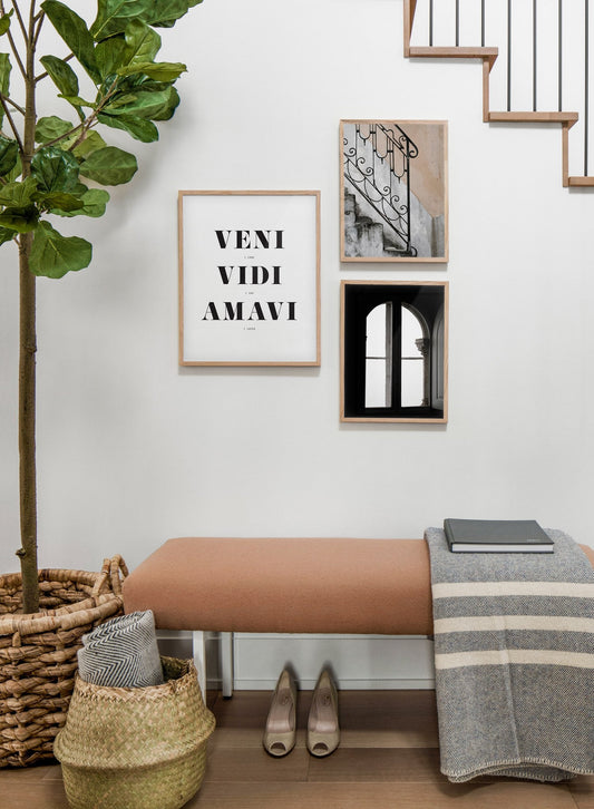 Veni Vidi Amavi, Poster