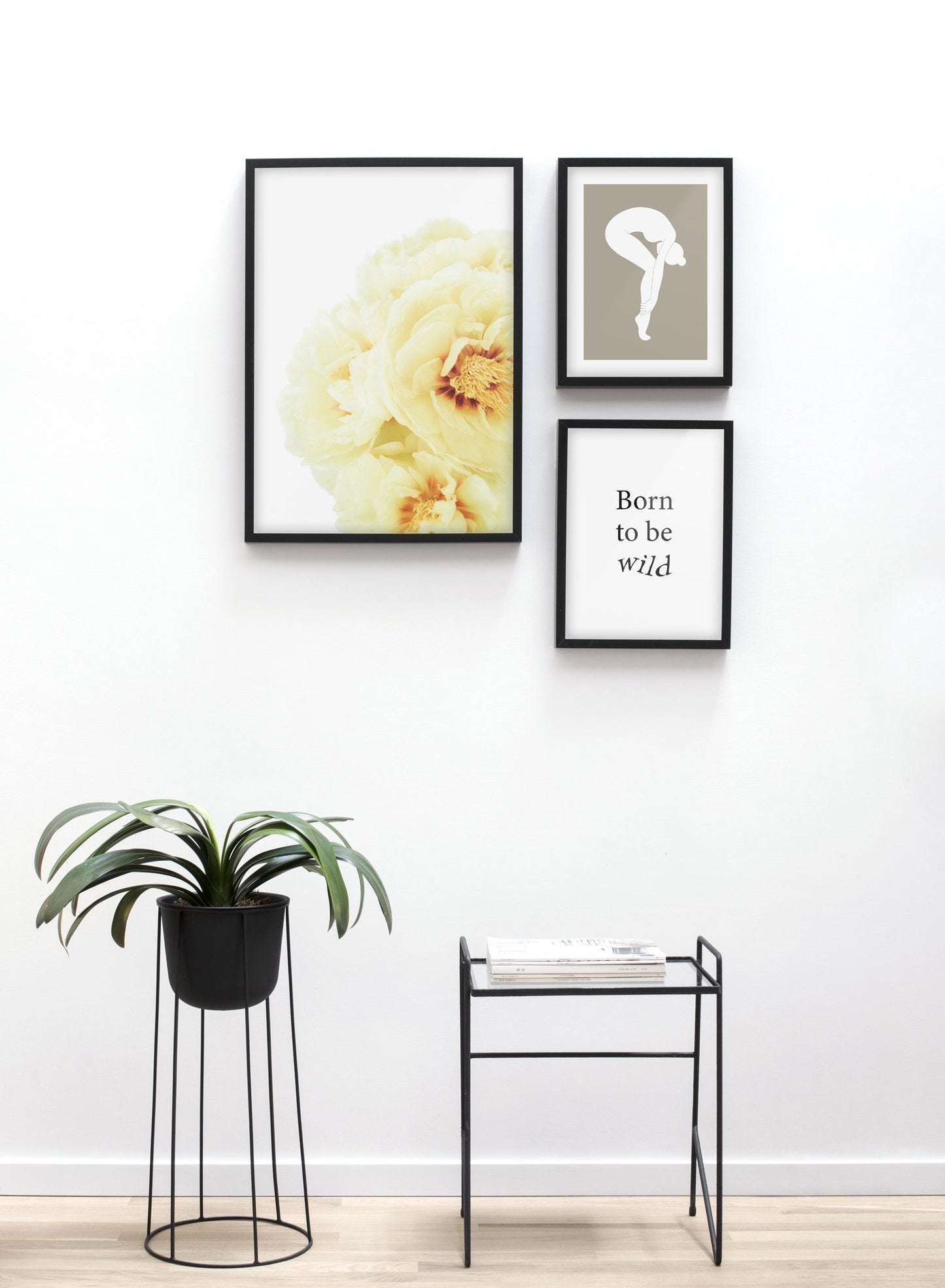 Yellow Blooms, Poster