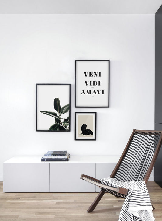 Rubber Tree, Poster