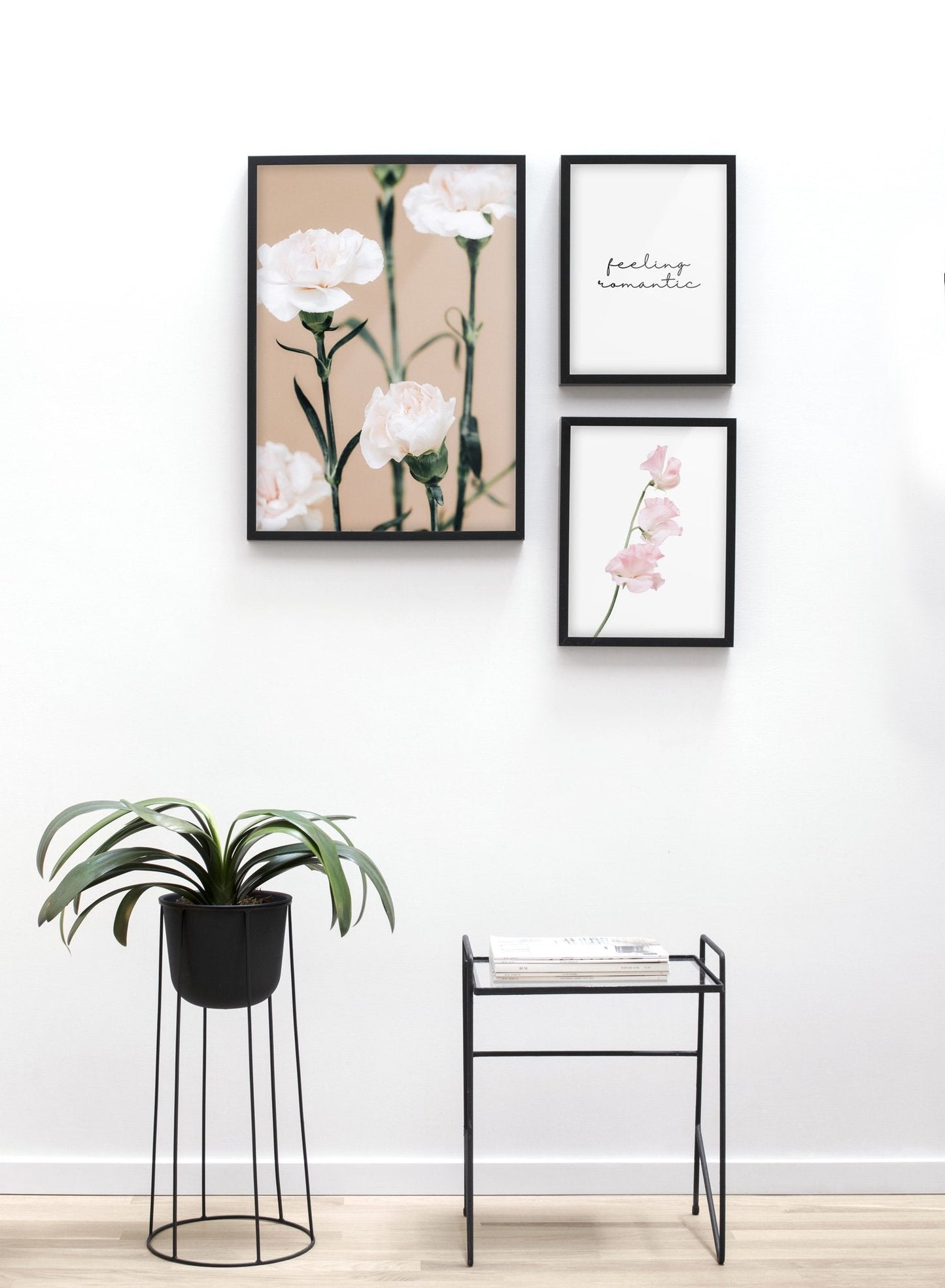 Pink Carnations, Poster