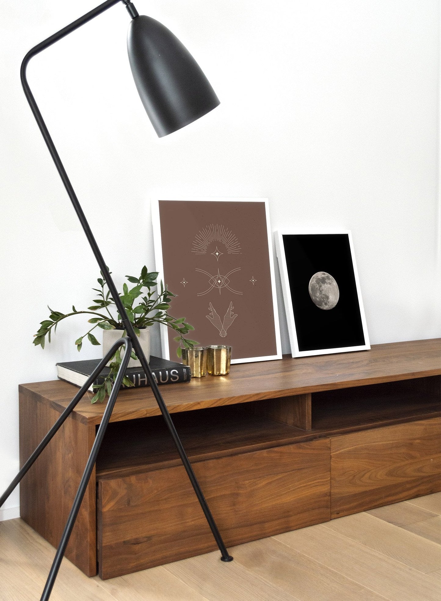 Luna, Poster