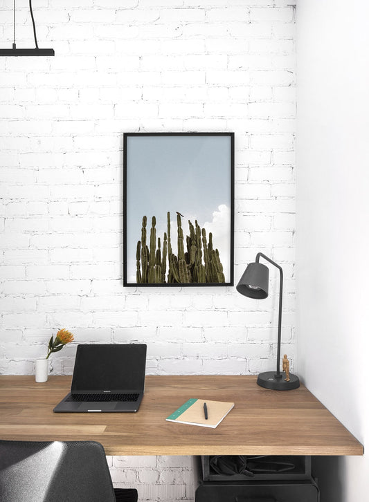 Tall Cactus, Poster