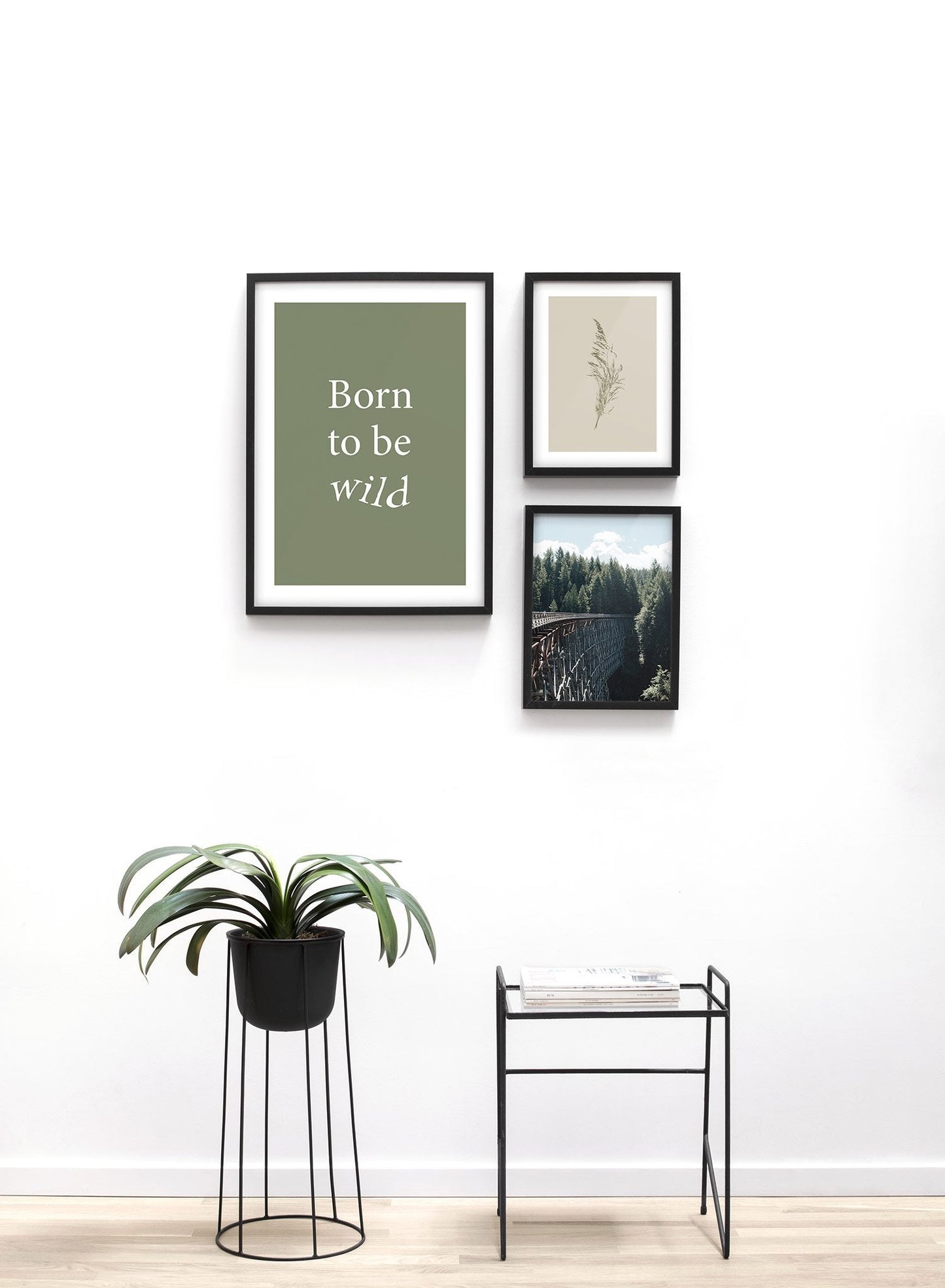 Born To Be Wild in Green, Poster