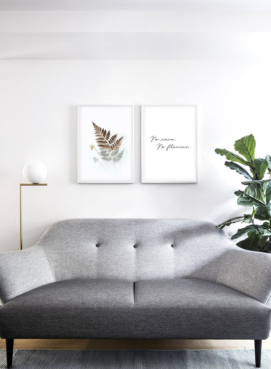 Floating Fern, Poster