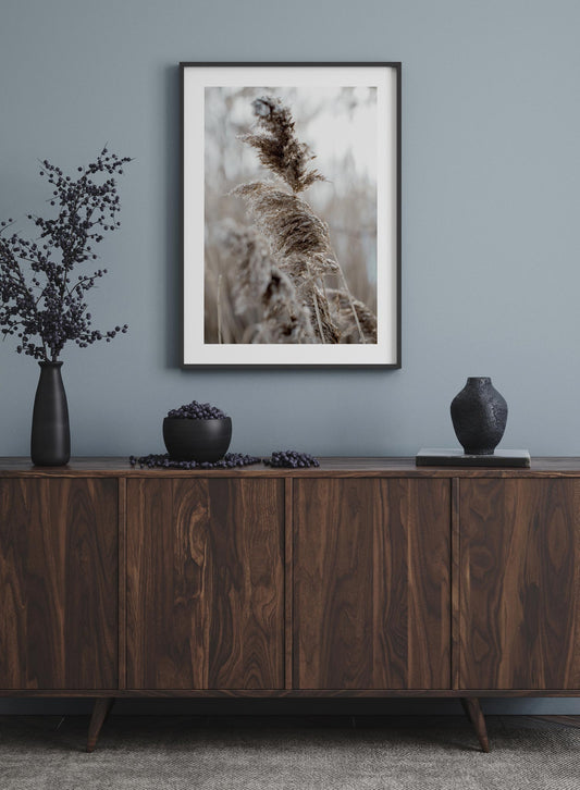 Wintry Plumes, Poster