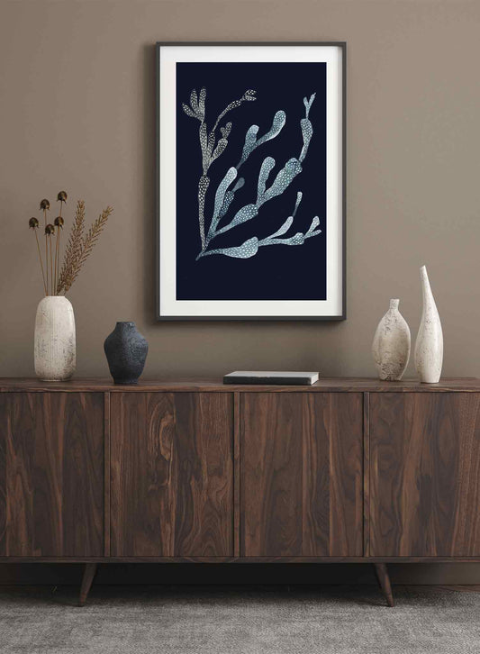 Navy Coral, Poster