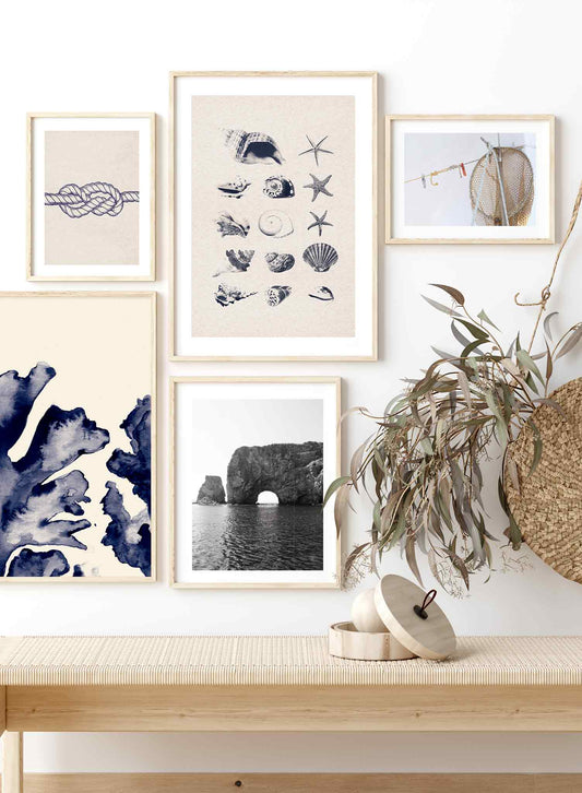 Coastal Treasures, Poster