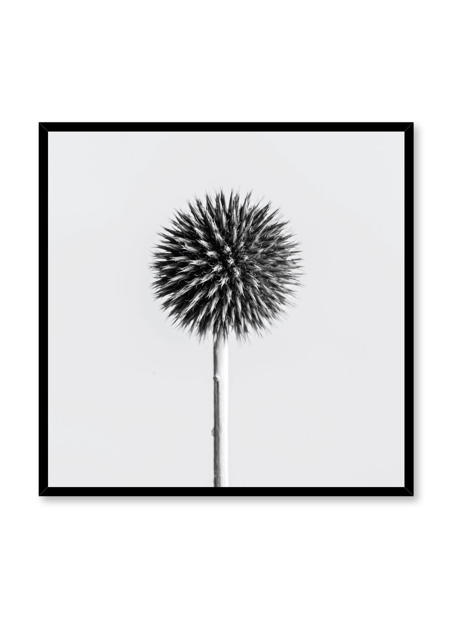 Silver Thistle, Poster