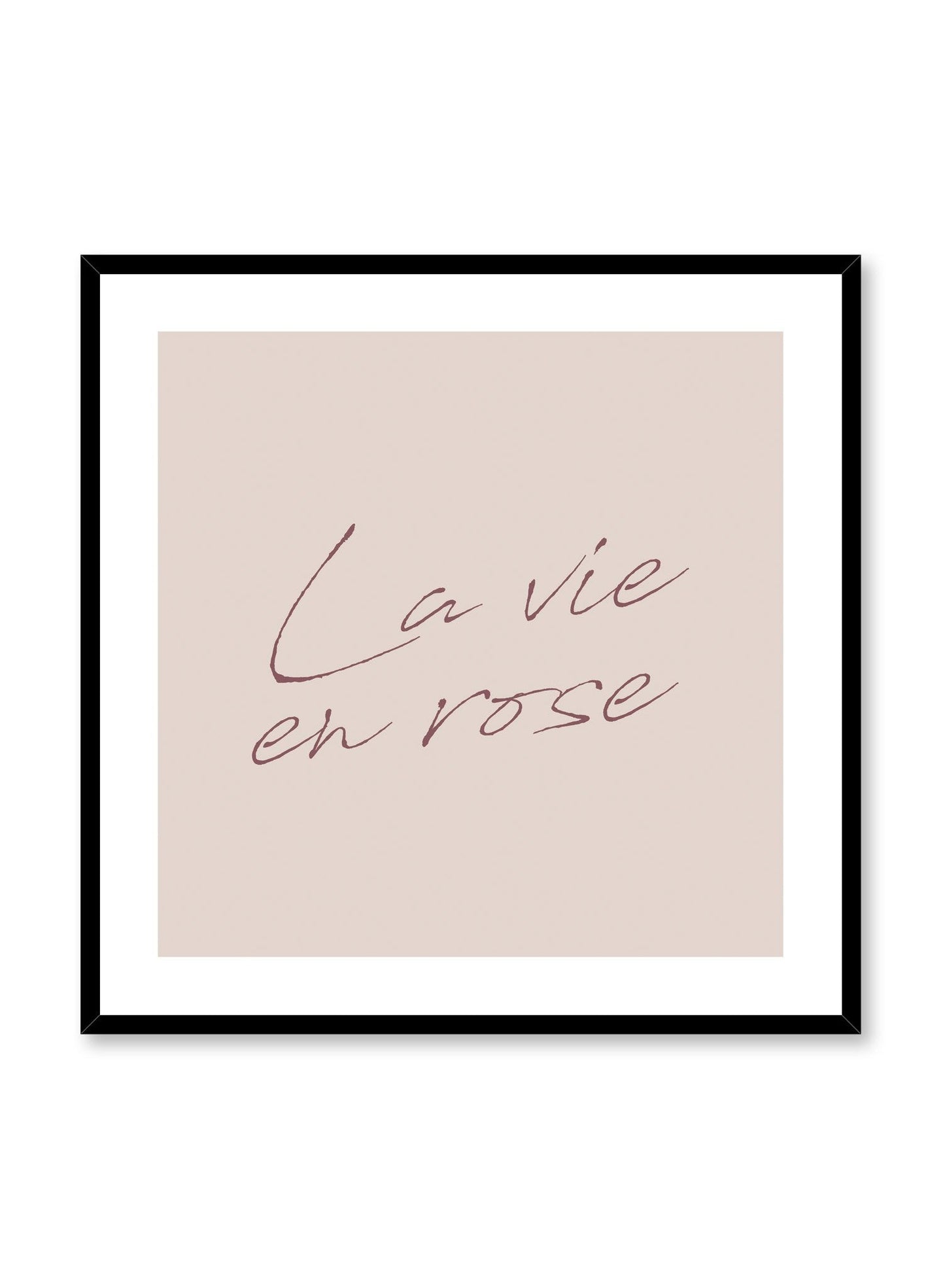 La Vie in Pink, Poster