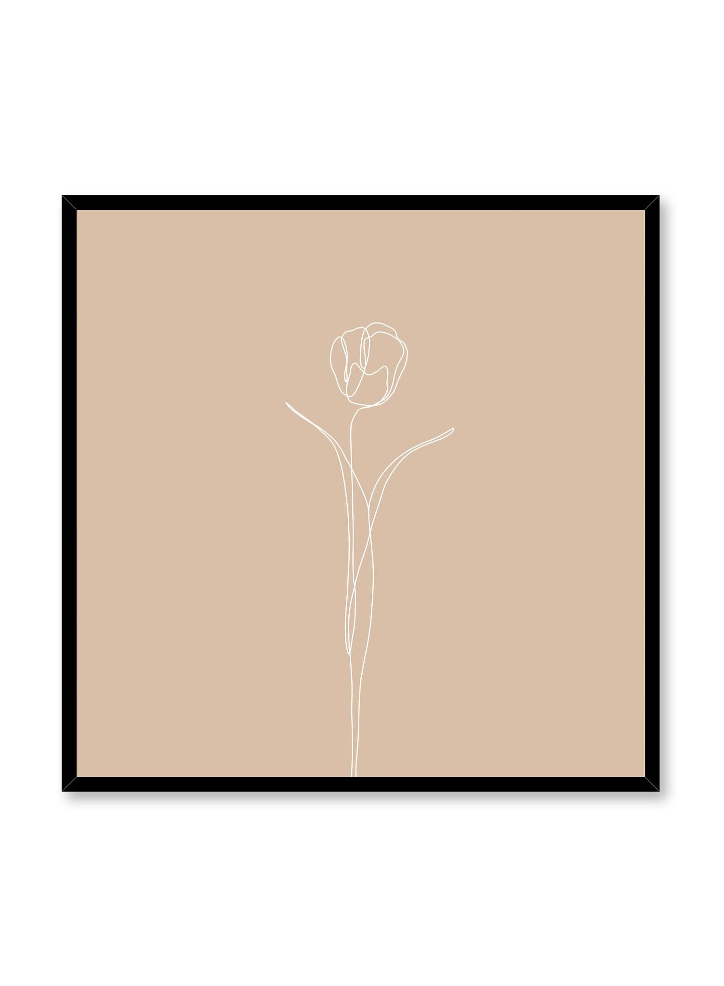 Tulip in Beige, Poster