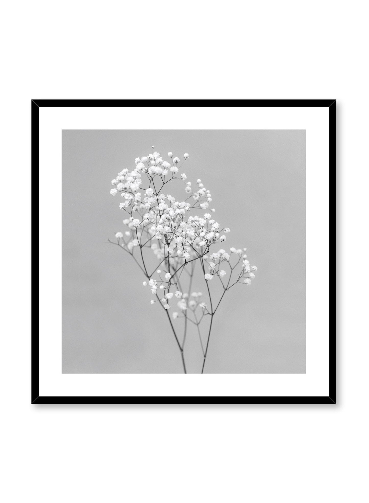Baby's Breath in Black, Poster