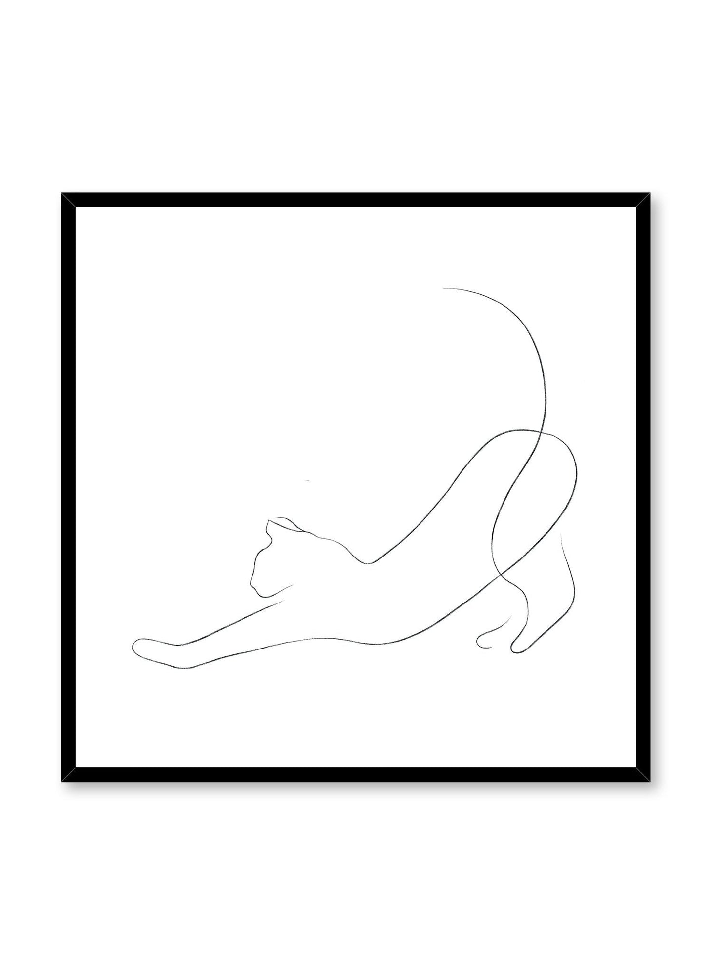Cat Nap, Poster