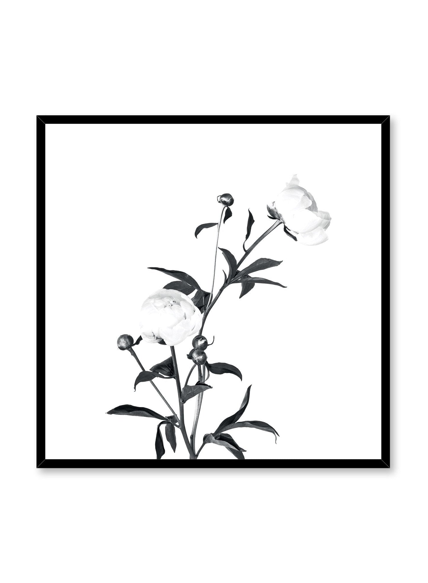 Romance in Black, Poster