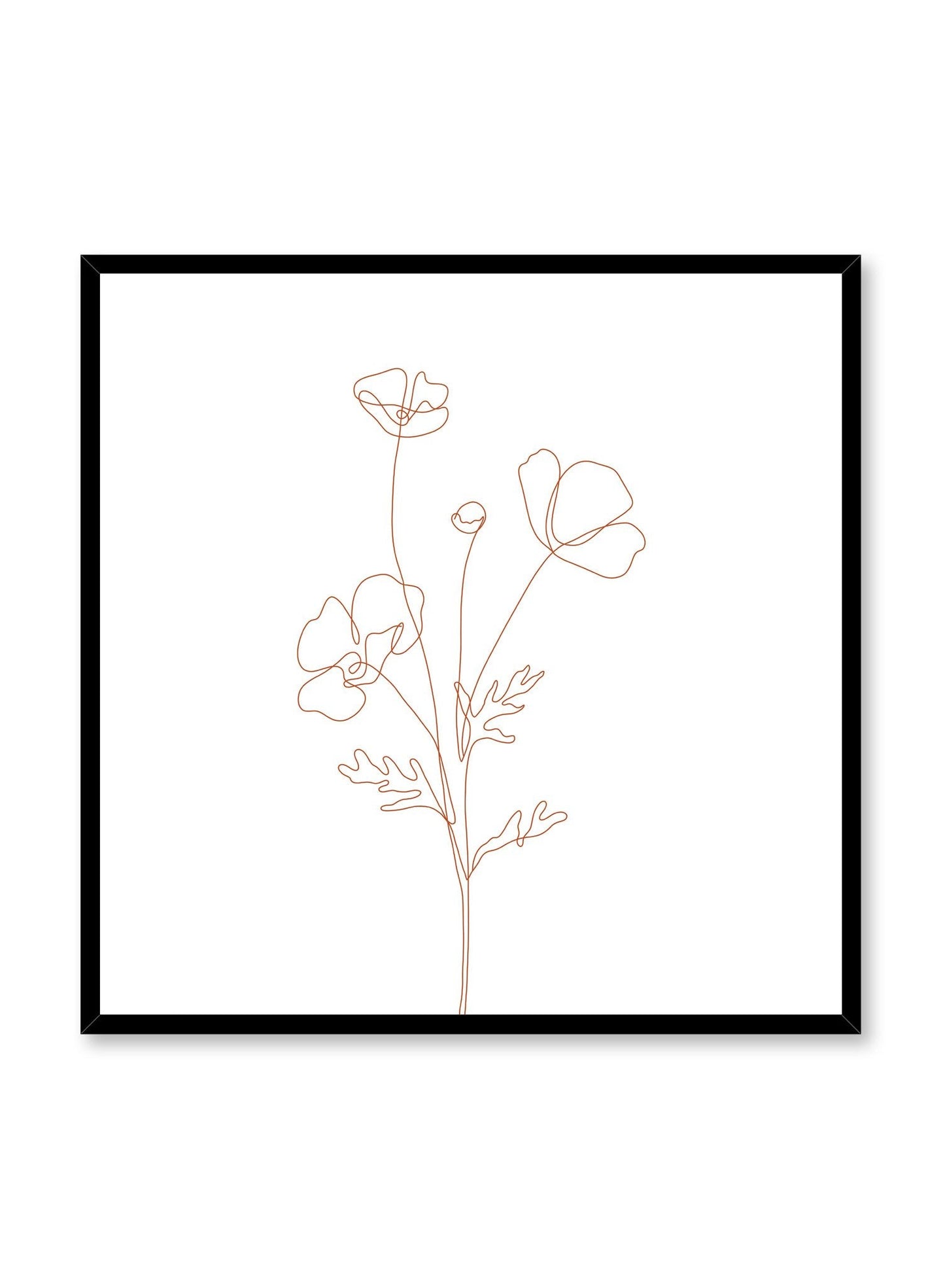 Poppy Sketch with Orange Lines, Poster