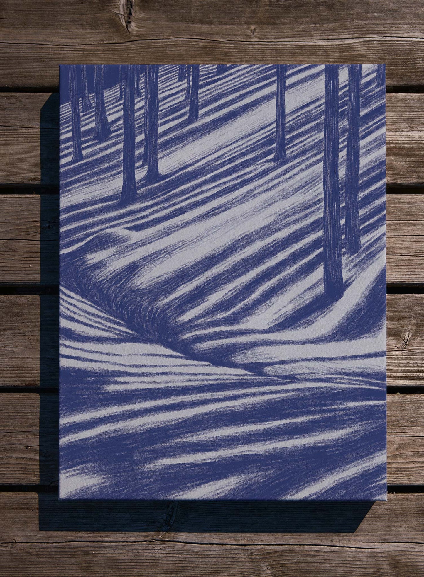 Moonbeam Hike, Poster
