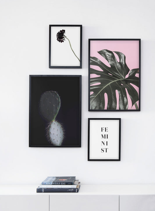 Reflection, Poster
