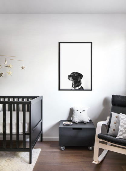 Man’s Best Friend, Poster
