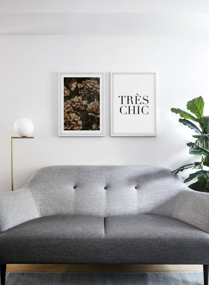 Hydrangea Flowers, Poster