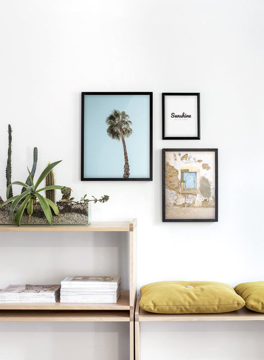 Palm Tree, Poster
