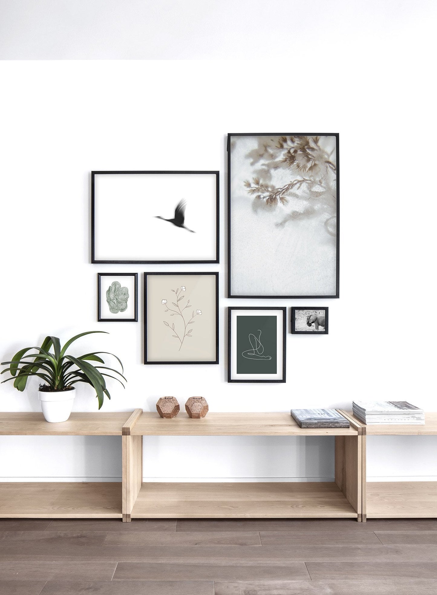 White Petals, Poster