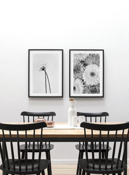 Bouquet of Gerberas, Poster