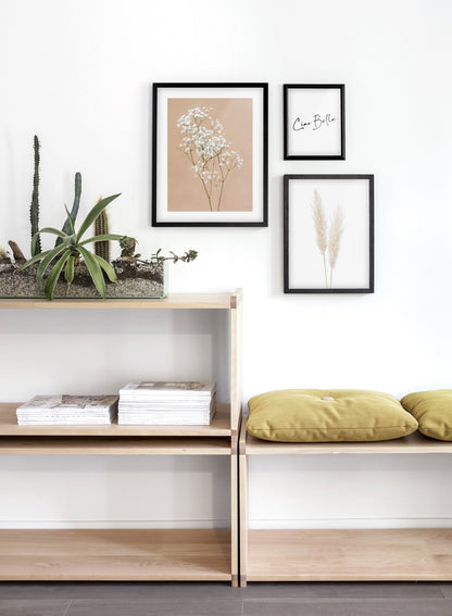 Baby's Breath, Poster