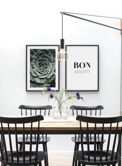 Ornamental Cabbage, Poster