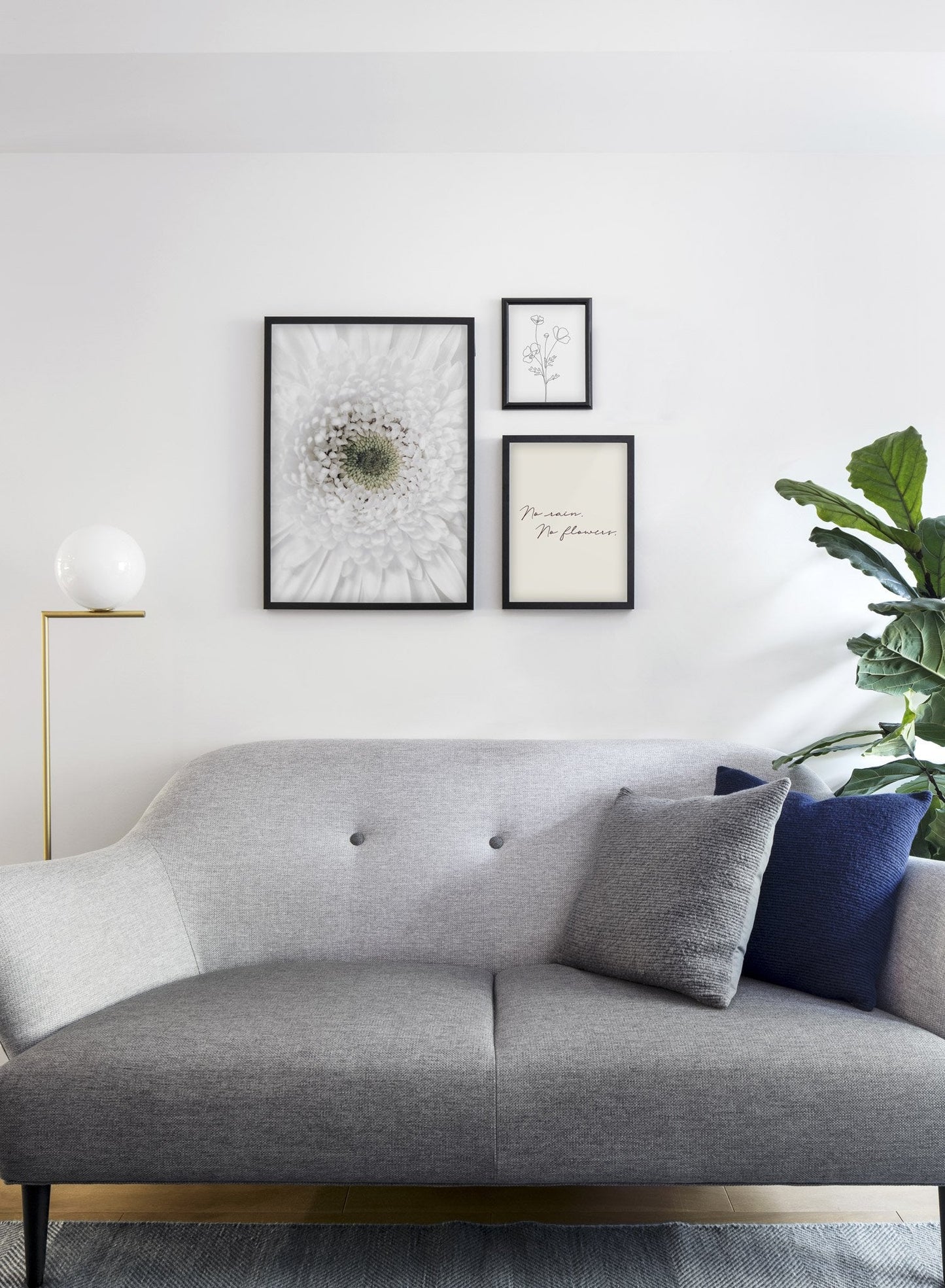 White Gerbera Daisy, Poster