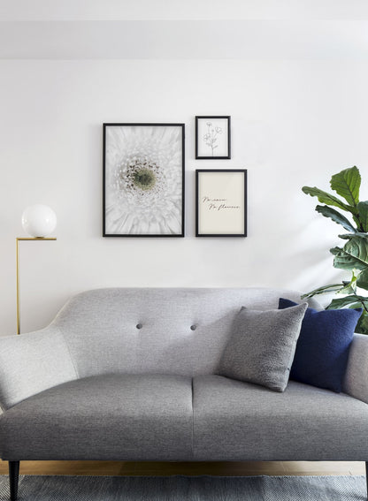 White Gerbera Daisy, Poster