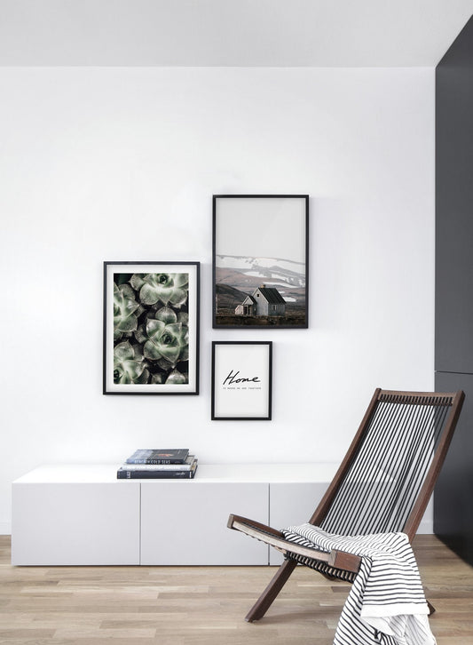 Succulents, Poster