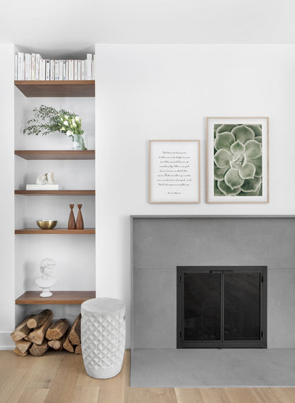 Echevaria, Poster