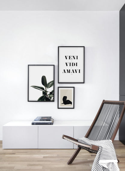 Rubber Tree, Poster