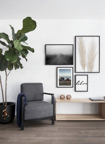 Ornamental Grasses, Poster
