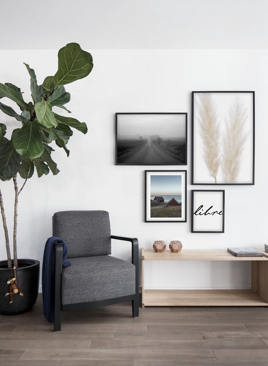Ornamental Grasses, Poster