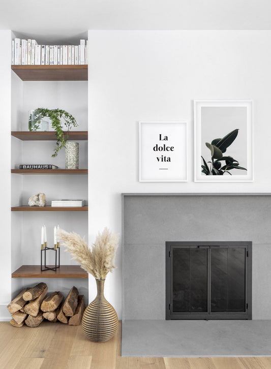 Rubber Tree Detail, Poster