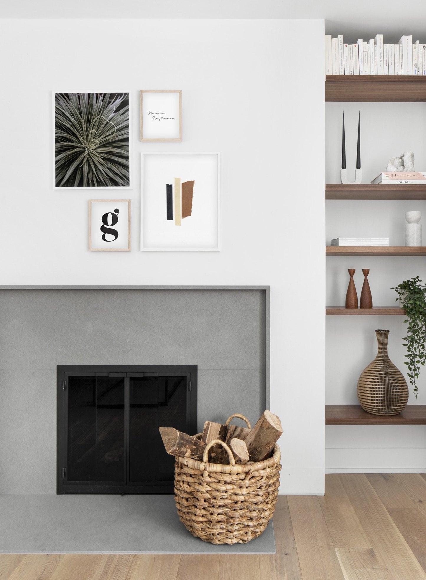 Spidery Plant, Poster