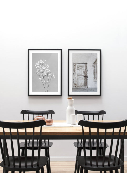 Baby's Breath in Black, Poster