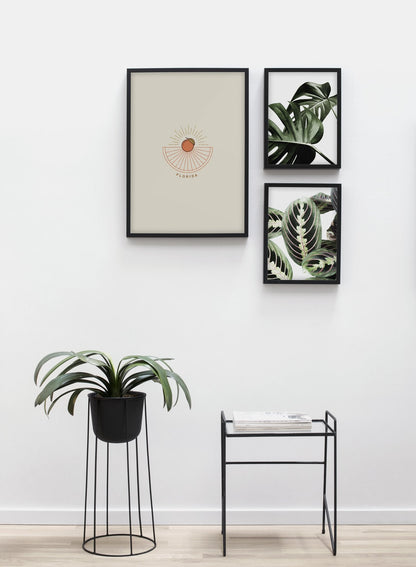 Florida, Poster