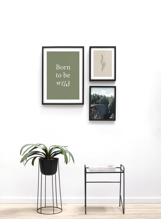 Born To Be Wild in Green, Poster