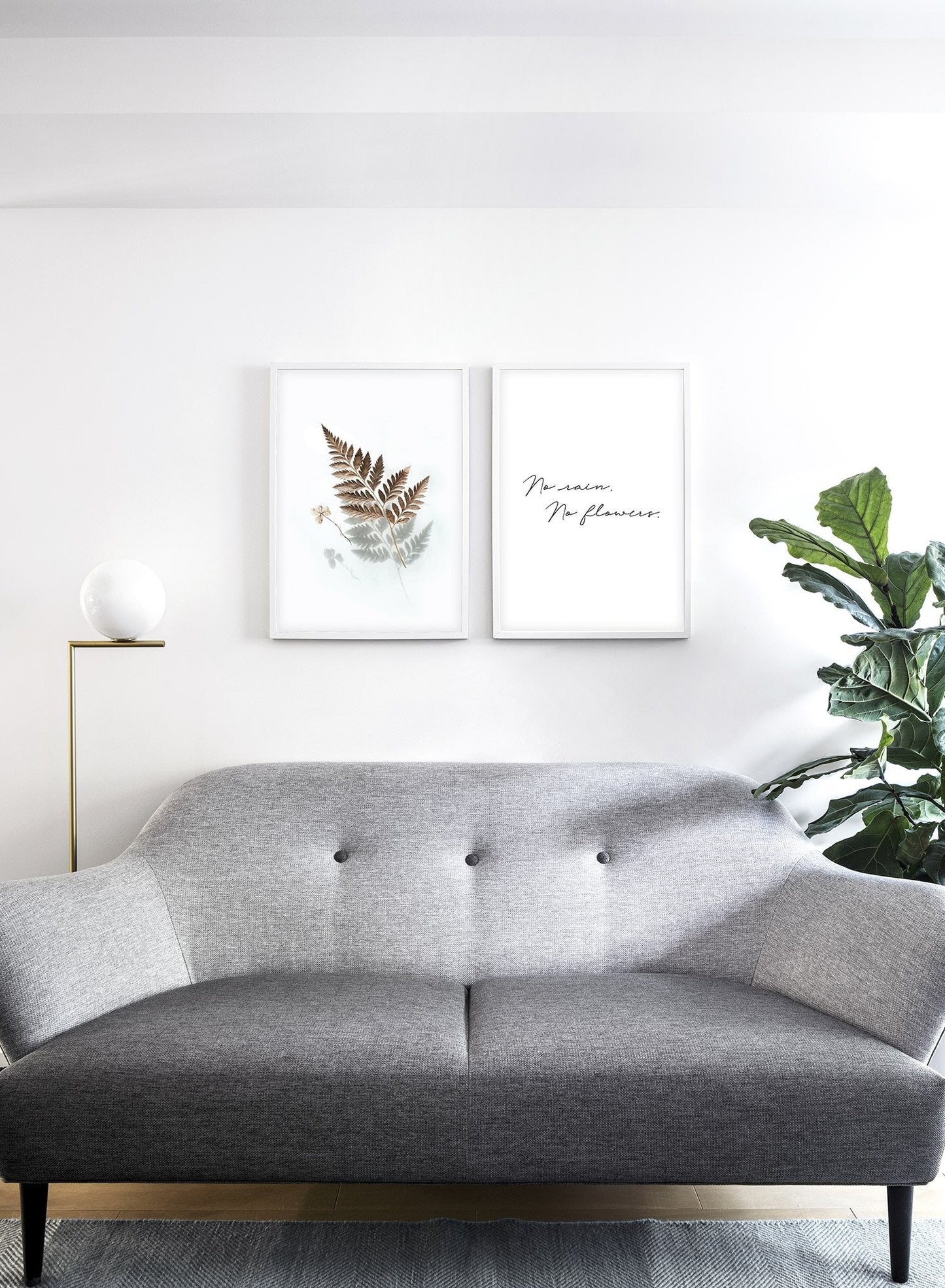 Floating Fern, Poster