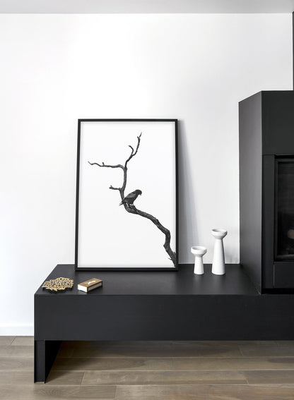 Perched, Poster