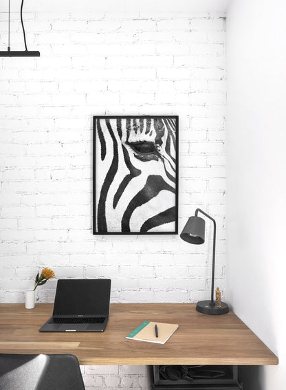 Zebra, Poster