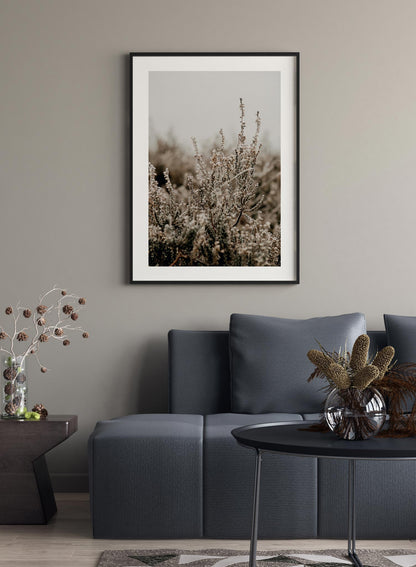 Silvery Seedheads, Poster