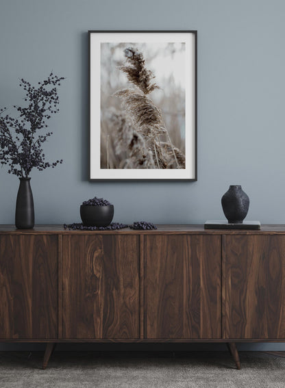 Wintry Plumes, Poster