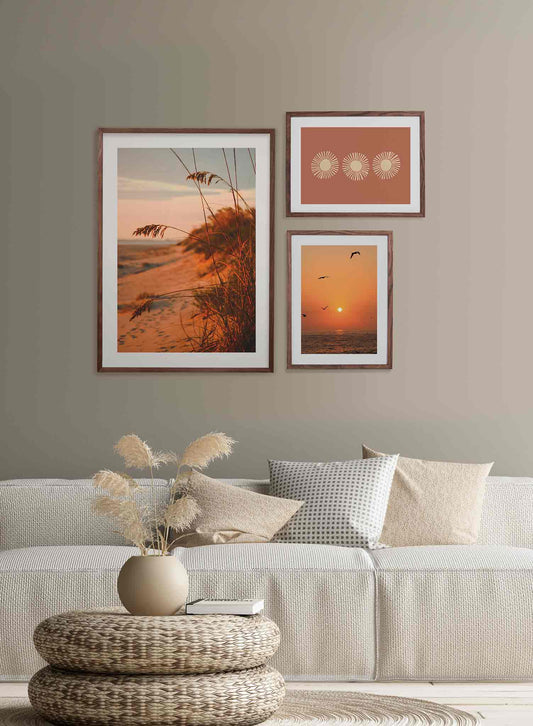 Dune Feathers, Poster
