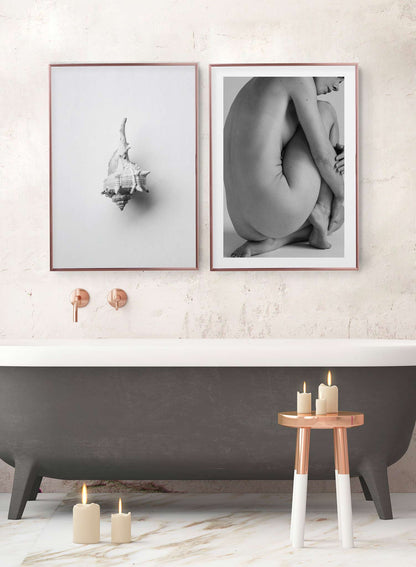 Horse Conch, Poster