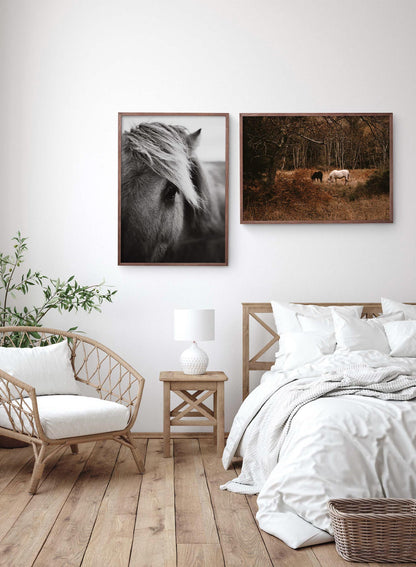 Mustang, Poster