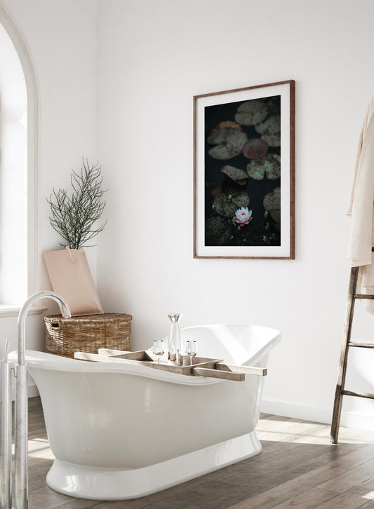 Lily Pad, Poster